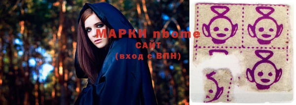 гашик Верея