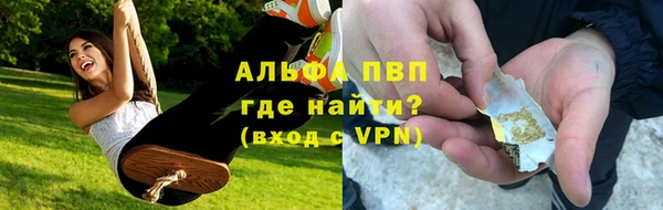 гашик Верея