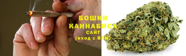 гашик Верея