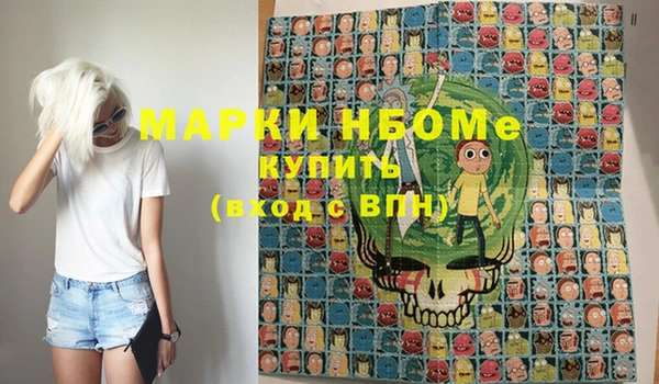гашик Верея